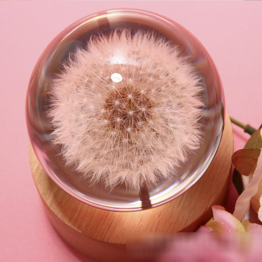 Dandelion crystal ball