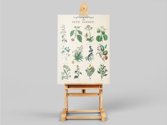 Vintage Herb Botanical Poster