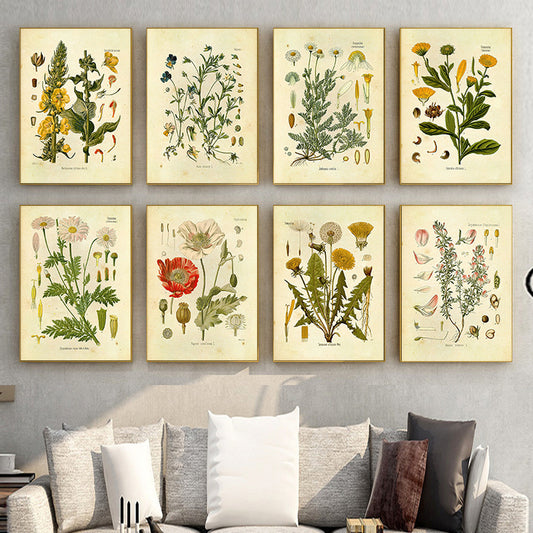 Plants Flower Study Living Room Paintings